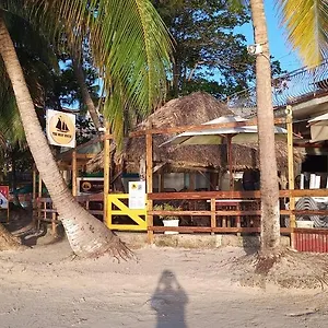 book here